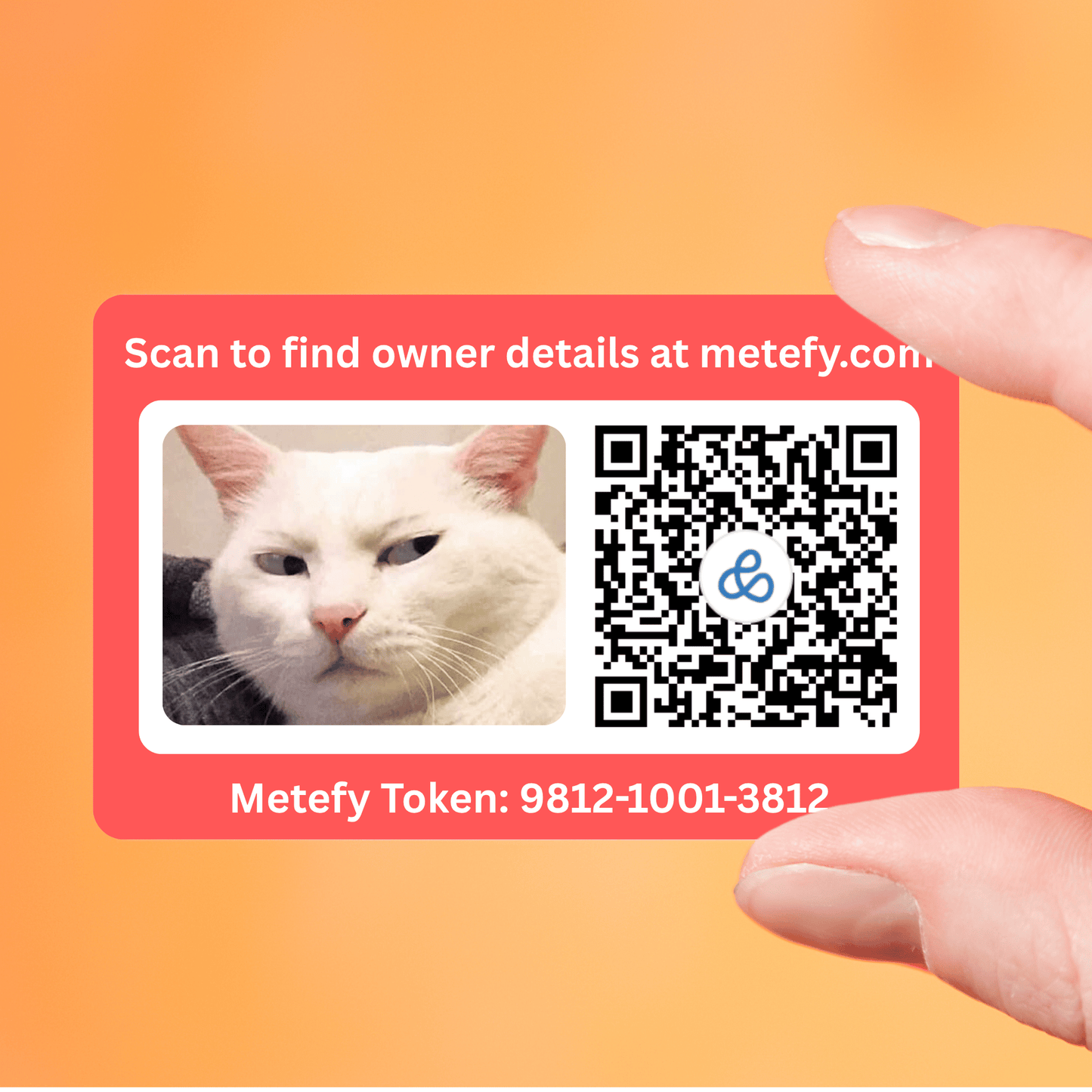 Metefy identity kit